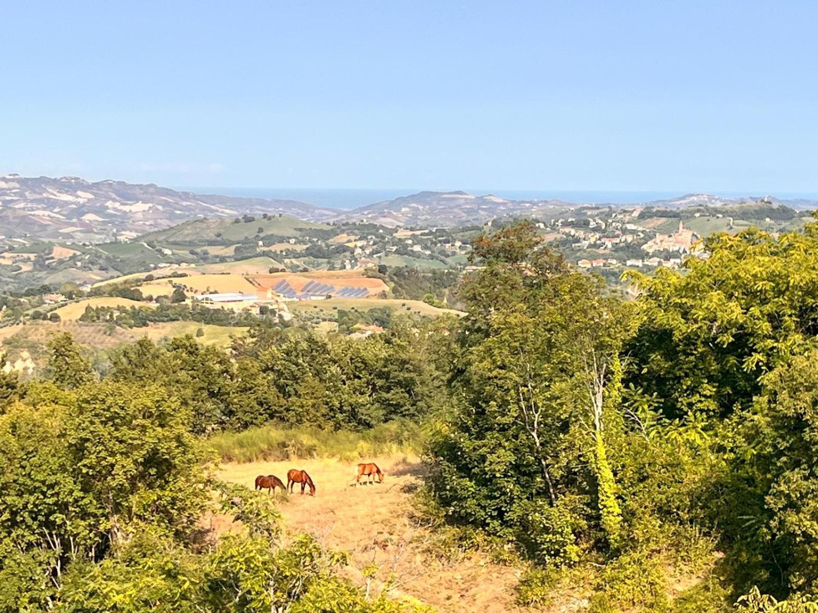 Terrazza Cassiopea Διαμέρισμα Capradosso Εξωτερικό φωτογραφία